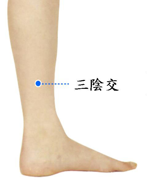 三陰交.jpg