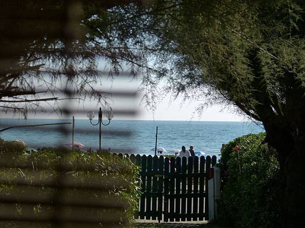 303205_221008044695516_414120463_n