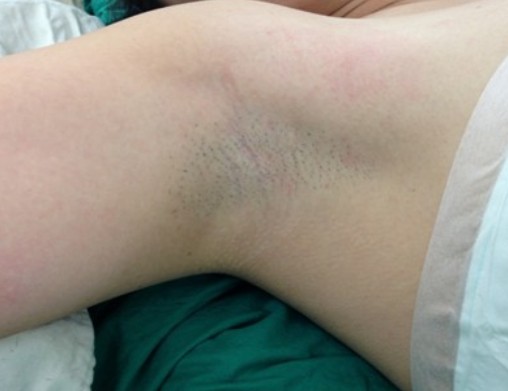 2013-09-02_131036 2013-09-02_131036