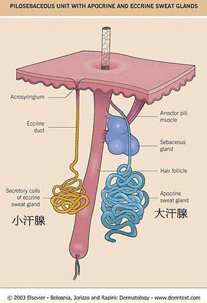 2013-09-02_131359 2013-09-02_131359