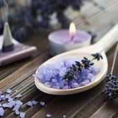 shutterstock_49294240