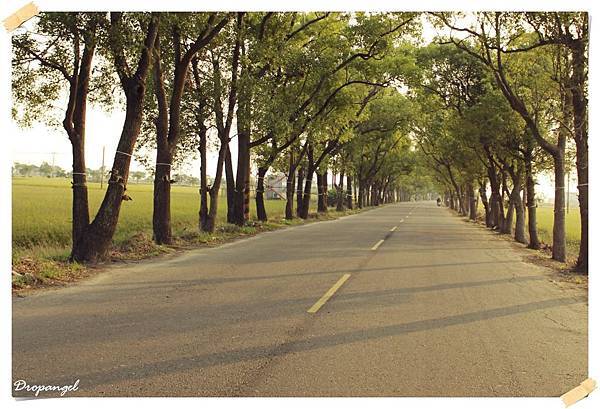 IMG_4071_s IMG_4071_s