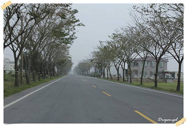 IMG_6900_S IMG_6900_S