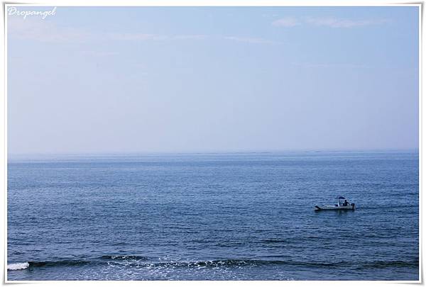 IMG_7512_1 IMG_7512_1