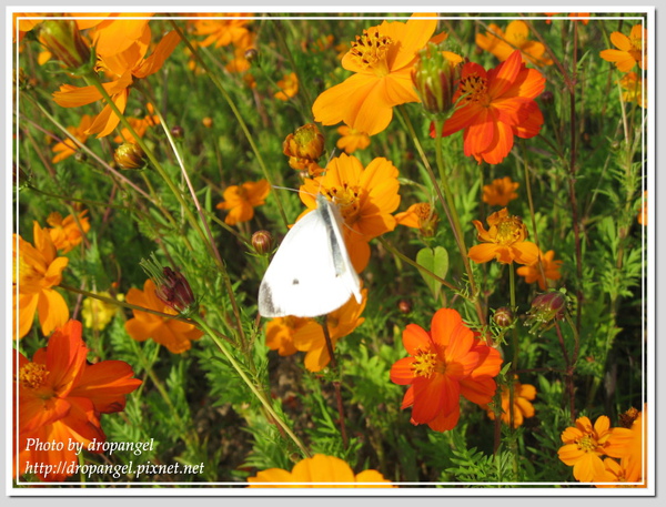 IMG_0815.jpg IMG_0815.jpg