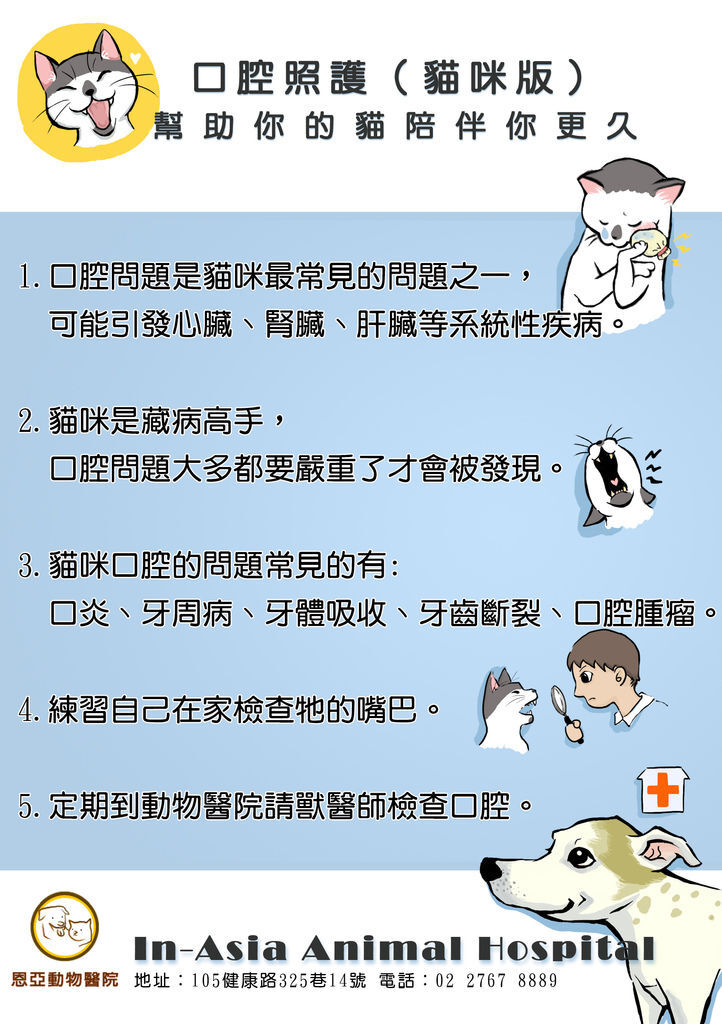 口腔照護貓咪版