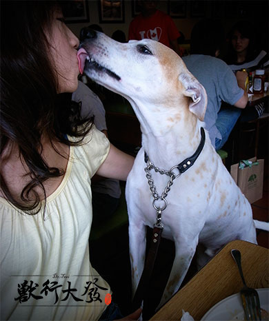 BREATH2.jpg BREATH2.jpg