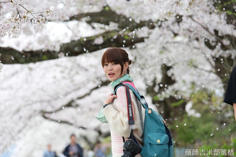 Kyoto_Sakura_691.jpg Kyoto_Sakura_691.jpg
