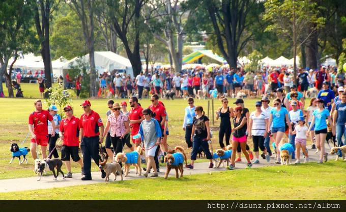 10397095_10152400601809326_8328592374608928001_o 10397095_10152400601809326_8328592374608928001_o