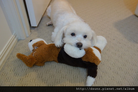 1-DSC05762 1-DSC05762