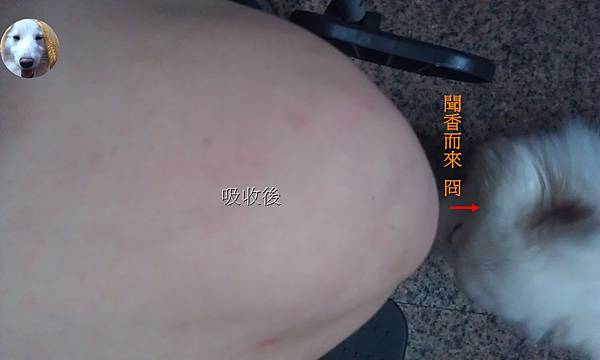 IMAG6015111 試用
