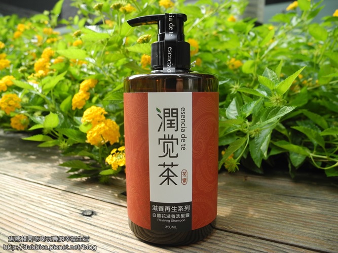 茶白花滋洗露1.jpg