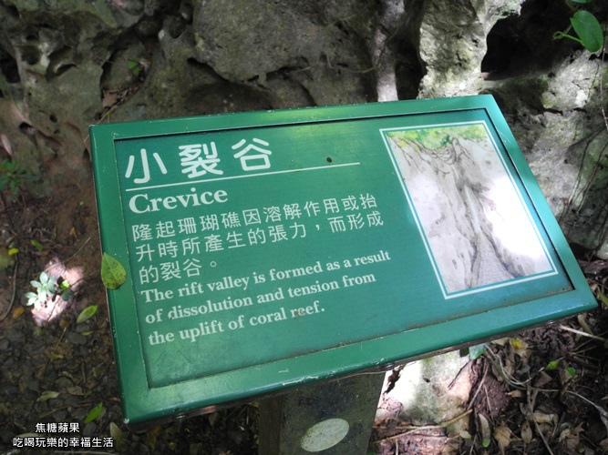 社自然公6.jpg