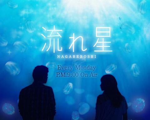 流星.JPG 流星.JPG