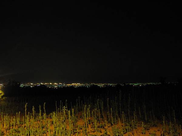 鳥居夜景 (5).JPG