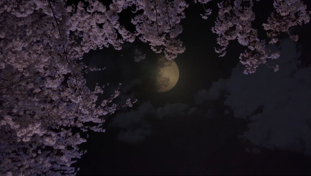 EP4 うきうきファーストデート[19-45-20].JPG