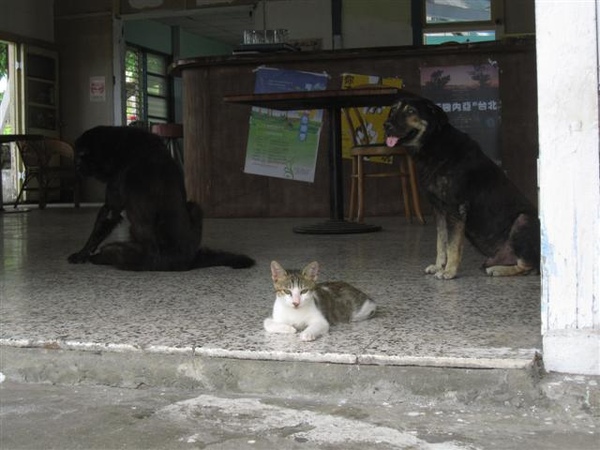 照片 002 (Small).jpg 照片 002 (Small).jpg