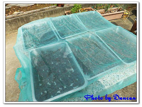 DSCF0354.jpg DSCF0354.jpg