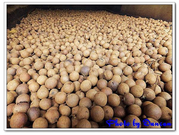 DSCF0371.jpg DSCF0371.jpg