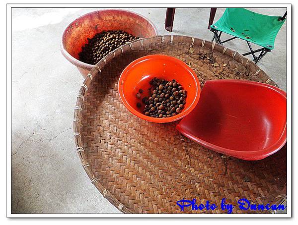 DSCF0373.jpg DSCF0373.jpg