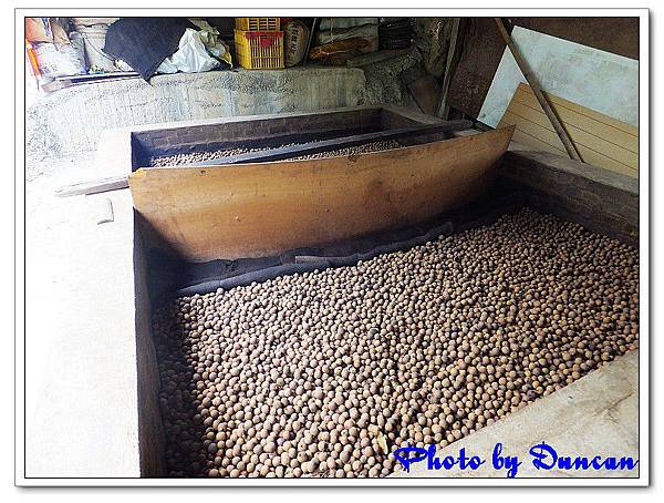 DSCF0377.jpg DSCF0377.jpg