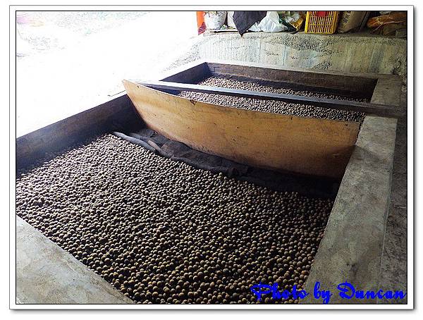 DSCF0379.jpg DSCF0379.jpg