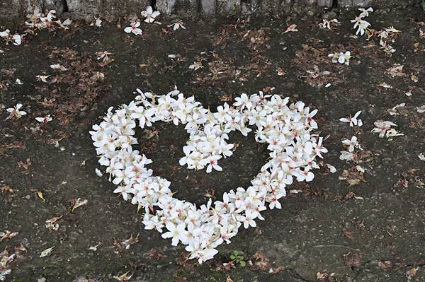 154717_298085933611160_175664995853255_677255_2026379821_n 154717_298085933611160_175664995853255_677255_2026379821_n