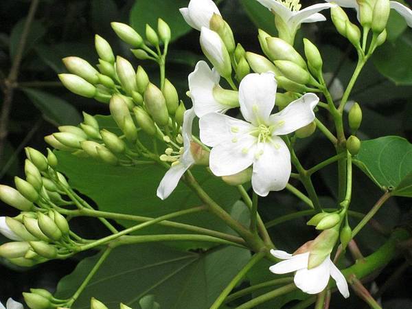 305589_10150750468324333_762779332_9089545_397174901_n 305589_10150750468324333_762779332_9089545_397174901_n