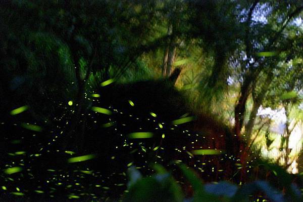 412608_3874001496591_1475307941_33215811_1448752980_o 412608_3874001496591_1475307941_33215811_1448752980_o