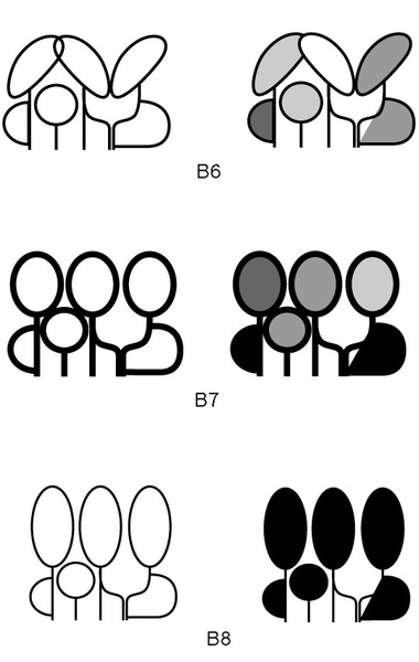 B6-7-8_1.jpg