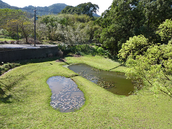 P1060516用餐點外的風景,小湖很像兩個腳Y.JPG P1060516用餐點外的風景,小湖很像兩個腳Y.JPG