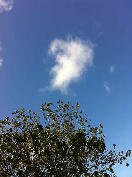 IMG_0274藍天白雲.JPG IMG_0274藍天白雲.JPG