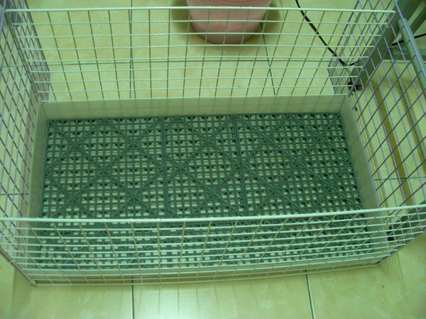 還害我割到手.JPG 還害我割到手.JPG