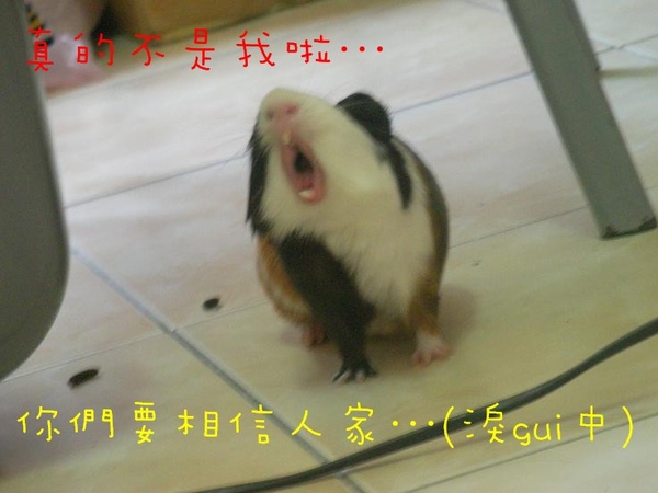 SANY0129.jpg SANY0129.jpg