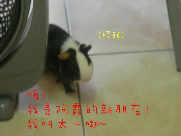 SANY0131.jpg SANY0131.jpg