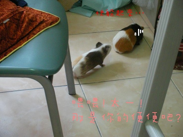 SANY0133.jpg SANY0133.jpg