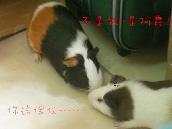 SANY0138.jpg SANY0138.jpg