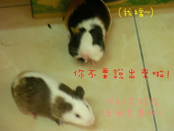 SANY0145.jpg SANY0145.jpg