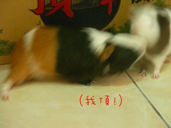 SANY0149.jpg SANY0149.jpg