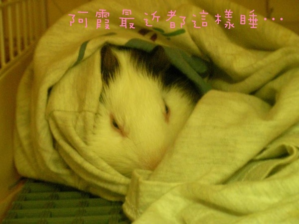 SANY0163.jpg SANY0163.jpg