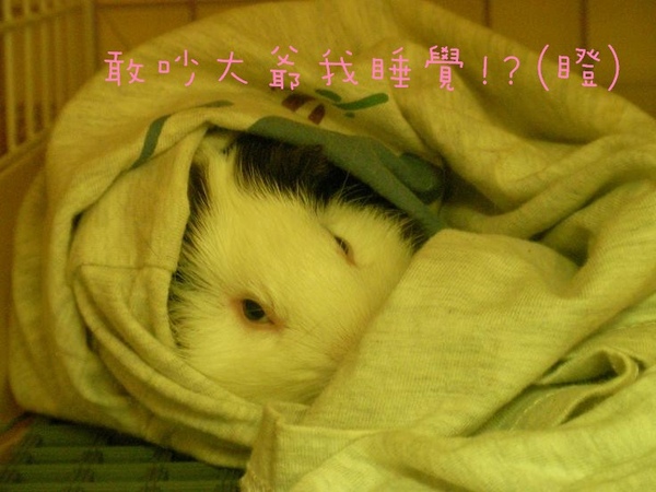 SANY0165.jpg SANY0165.jpg