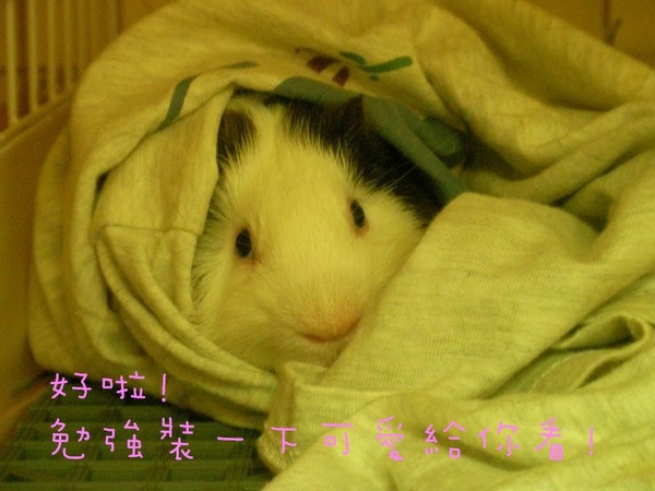 SANY0168.jpg SANY0168.jpg