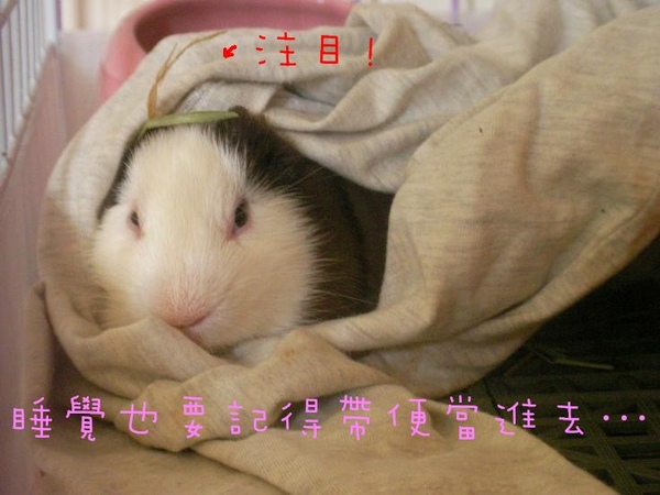 SANY0172.jpg SANY0172.jpg