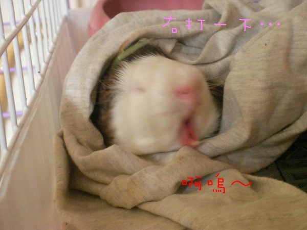 SANY0173.jpg SANY0173.jpg