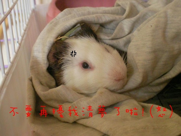 SANY0174.jpg SANY0174.jpg