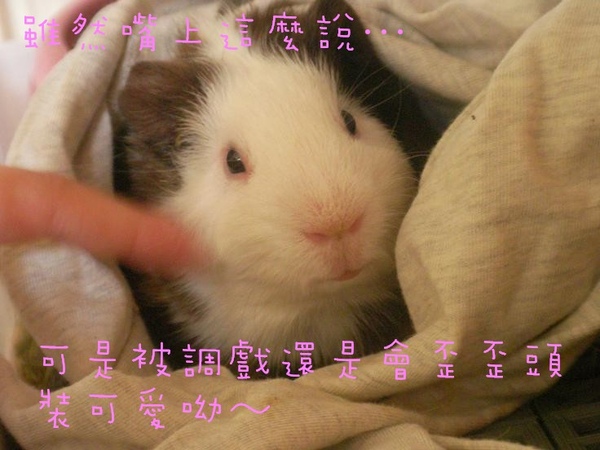 SANY0176.jpg SANY0176.jpg