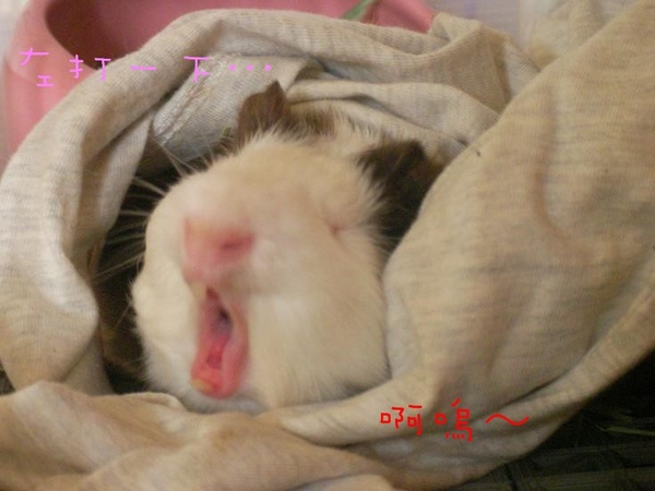 SANY0177.jpg SANY0177.jpg