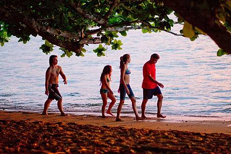 the-descendants_