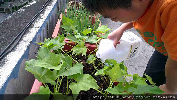 2014-05-25 14.41.08 2014-05-25 14.41.08