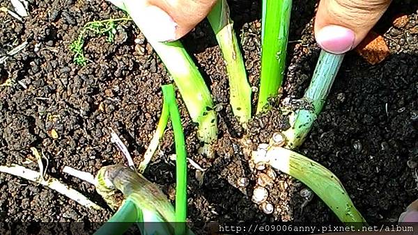 2015-04-03 11.31.22 2015-04-03 11.31.22